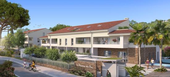 Le Domaine des Pins